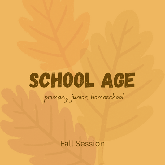 School-Aged Gymnastics (12 week Fall Session)